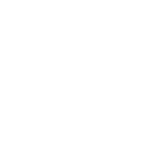 Camp Impuls Logo weiß